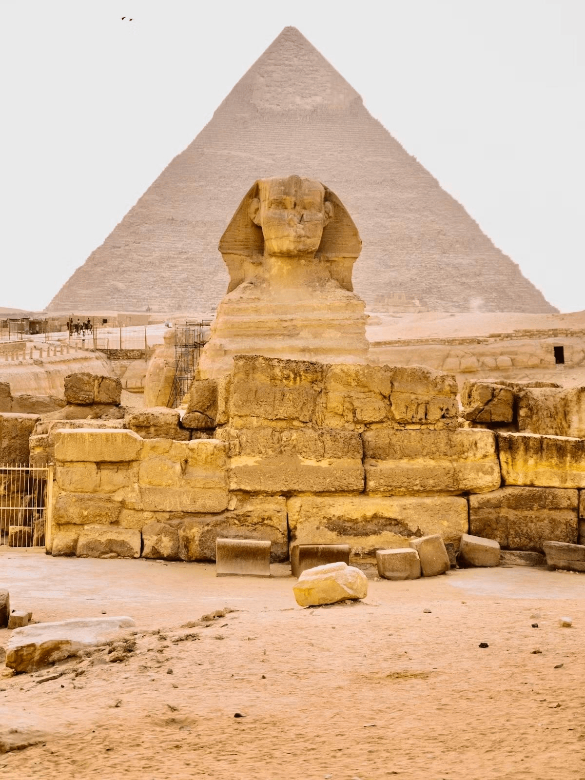 12-Day Complete Egypt Family Tour