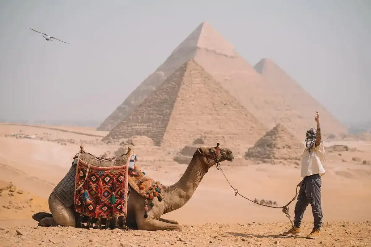 Pyramids - Saqqara & Memphis Day Trip