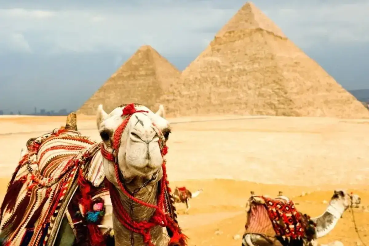 Cairo tours 