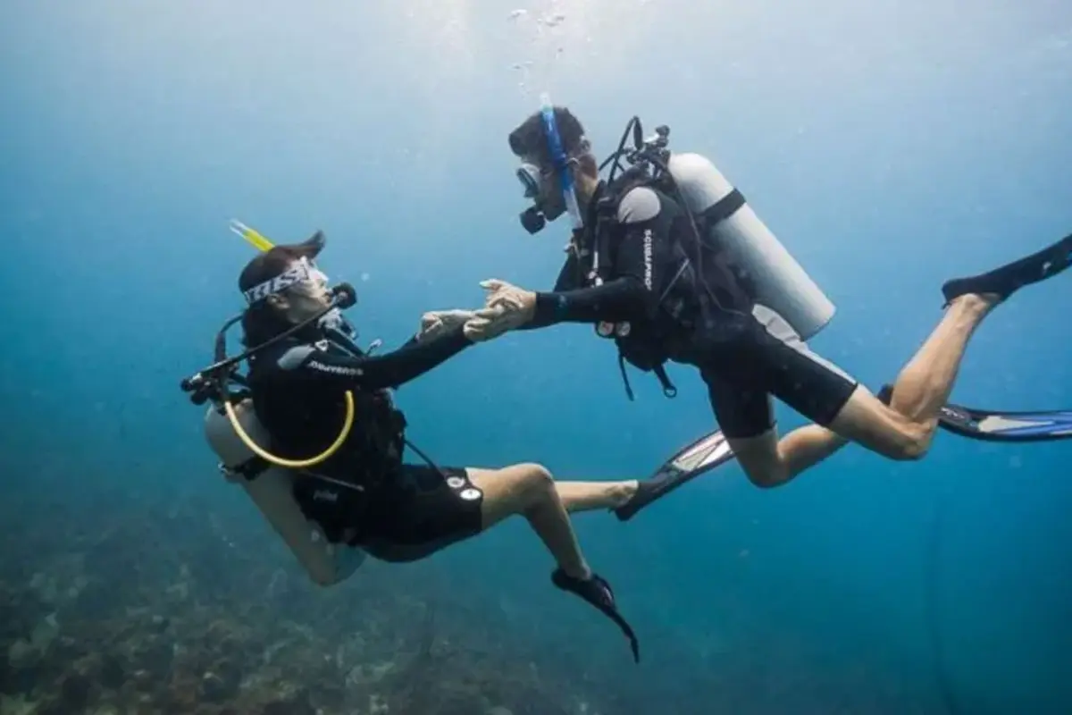 Sharm El Sheikh Tours